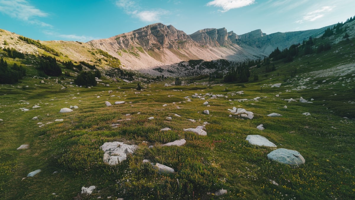 Plaine et montagnes verdoyantes