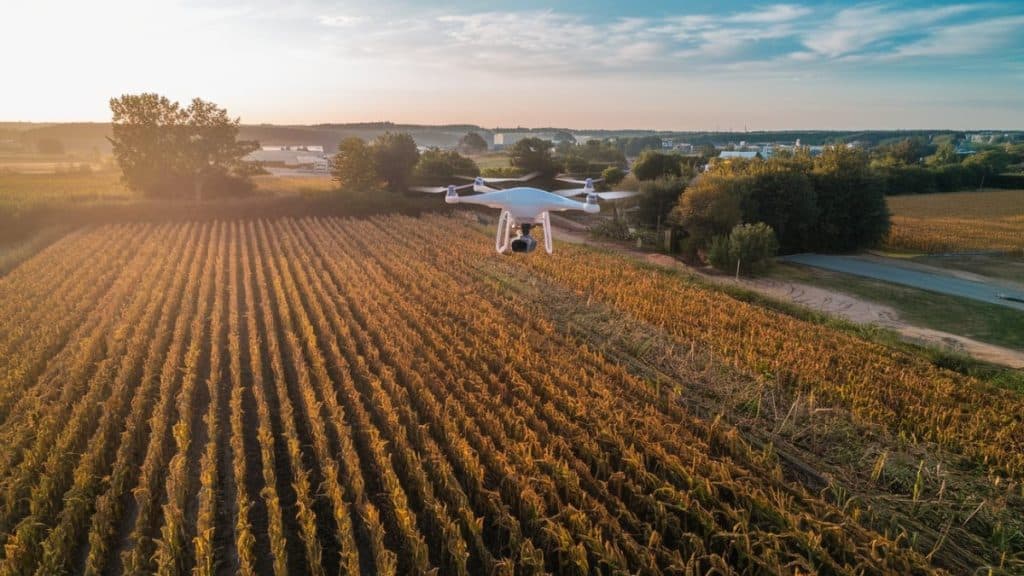 Drone sur champ agricole